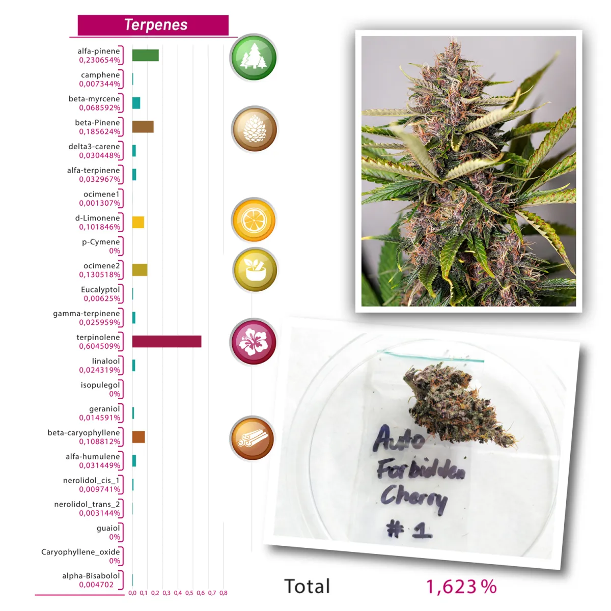 Terpenes-Auto-Forbidden-Cherry(1)