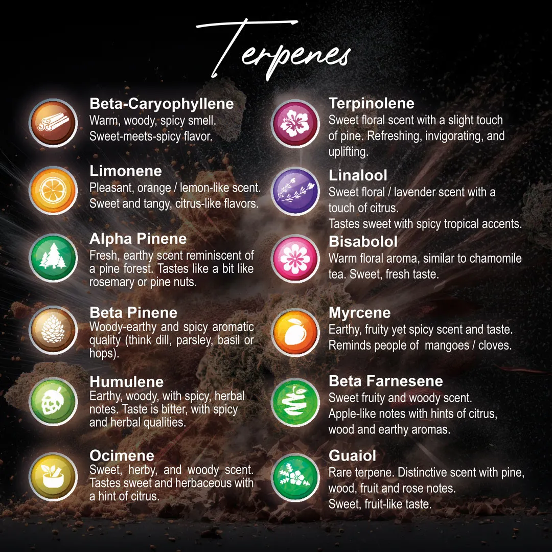 Terpenes-commonly-found-in-cannabis