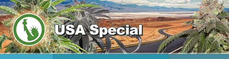 Dutch Passion USA Special cannabis seeds