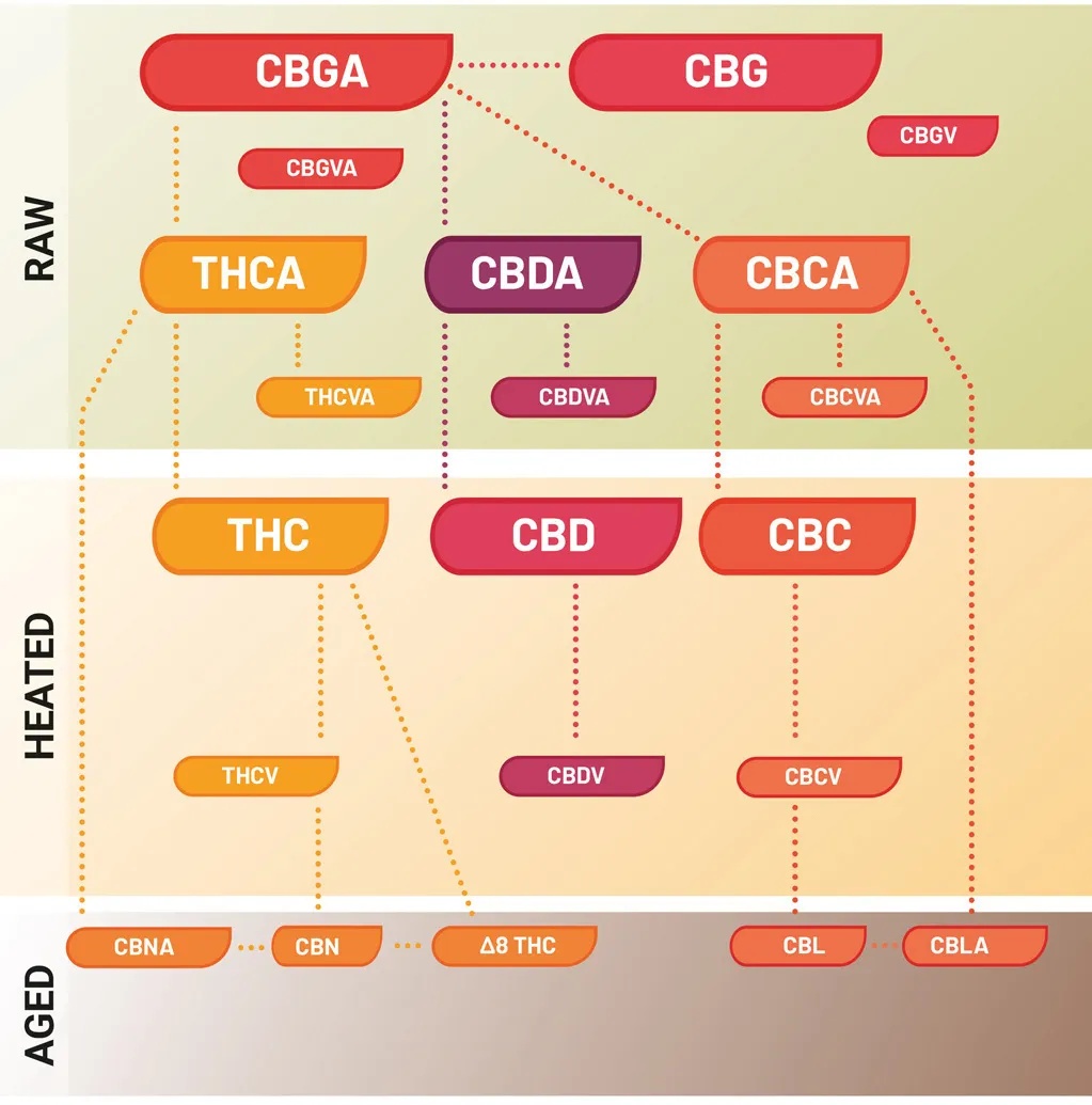 Cannabinoids