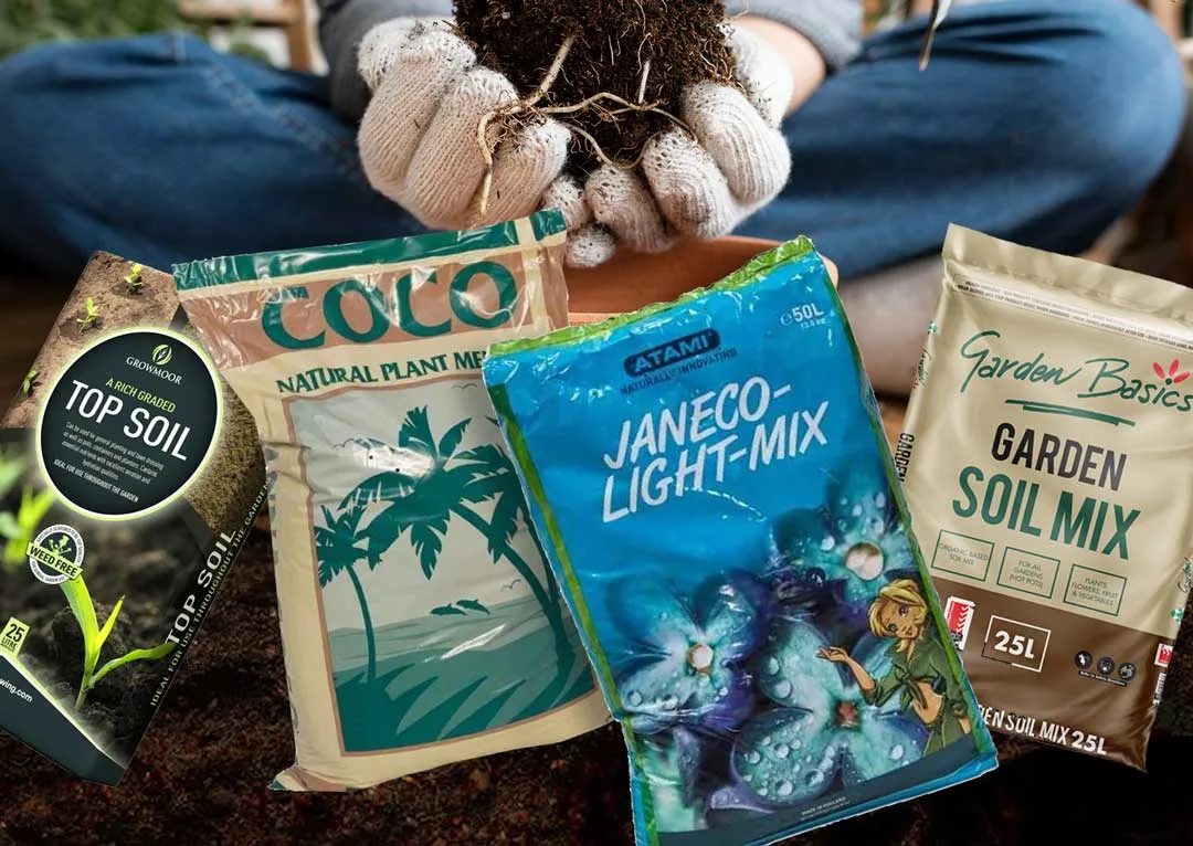 Use-a-rich-healthy-grow-medium