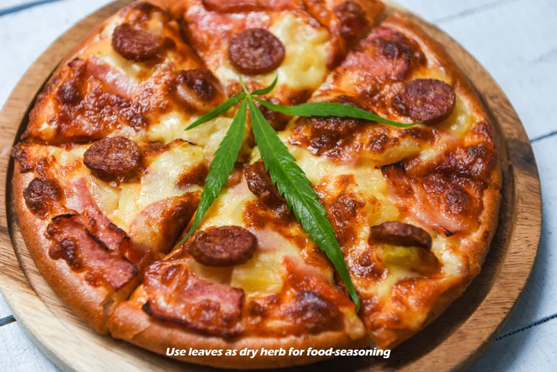 Pizza seasoned with a cannabis leaf