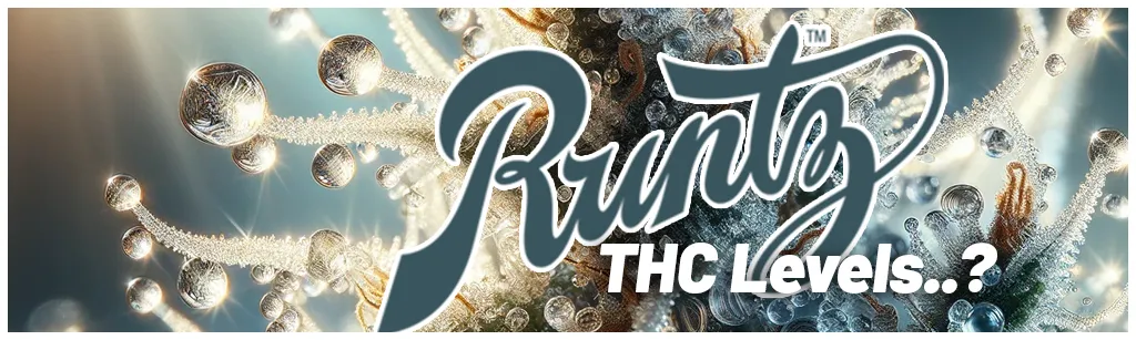 What-are-the-THC-levels-of-Runtz