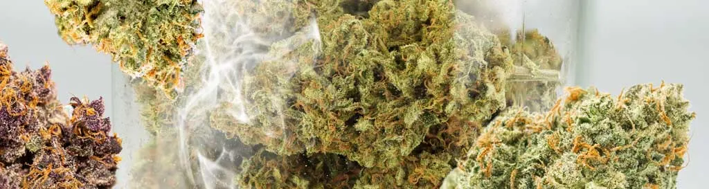 What-does-randomly-mixing-weed-strains-do
