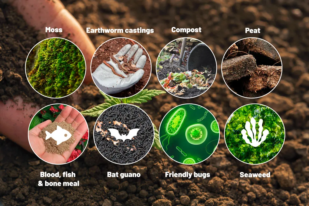 What-is-living-soil-made-of