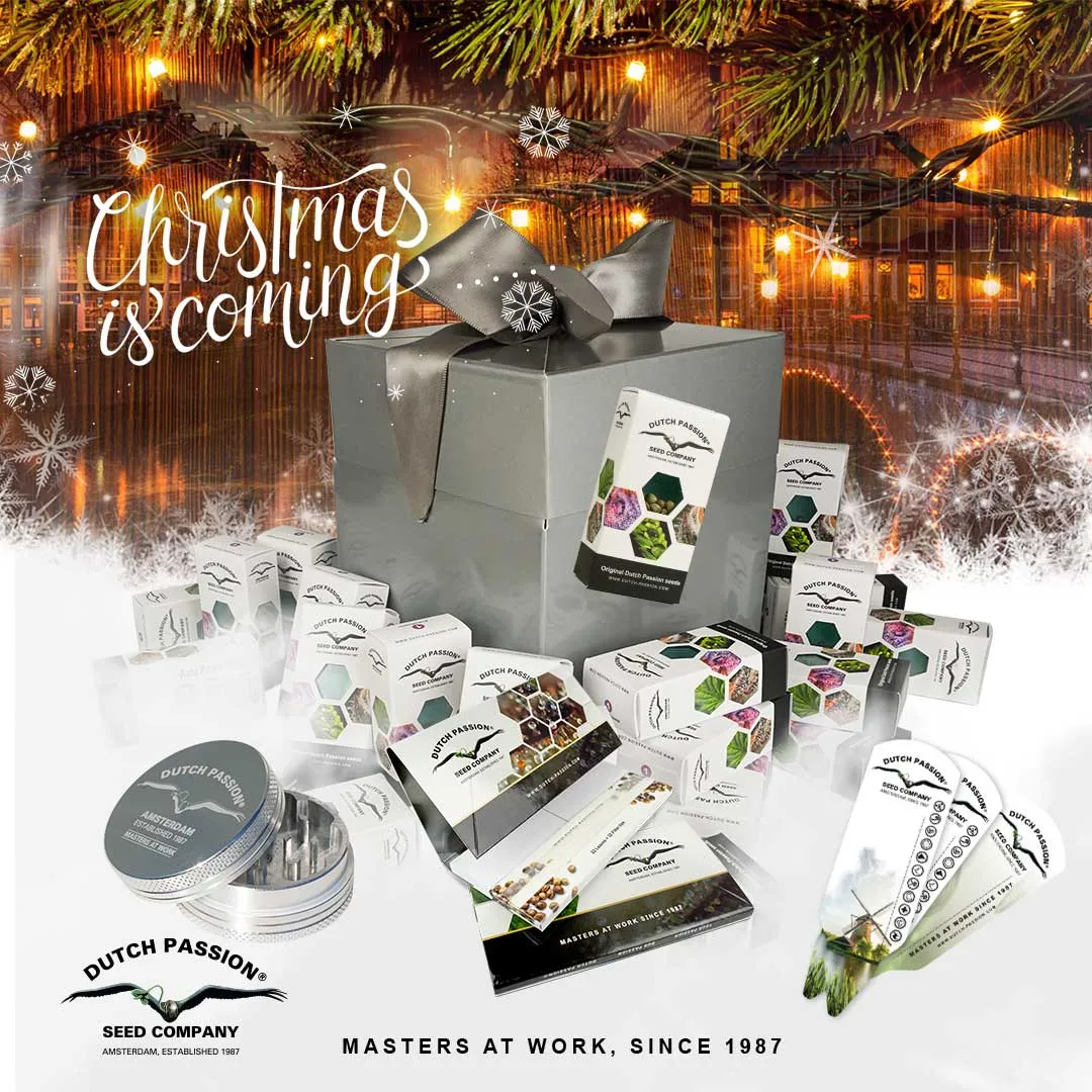 Xmas-boxes-blog