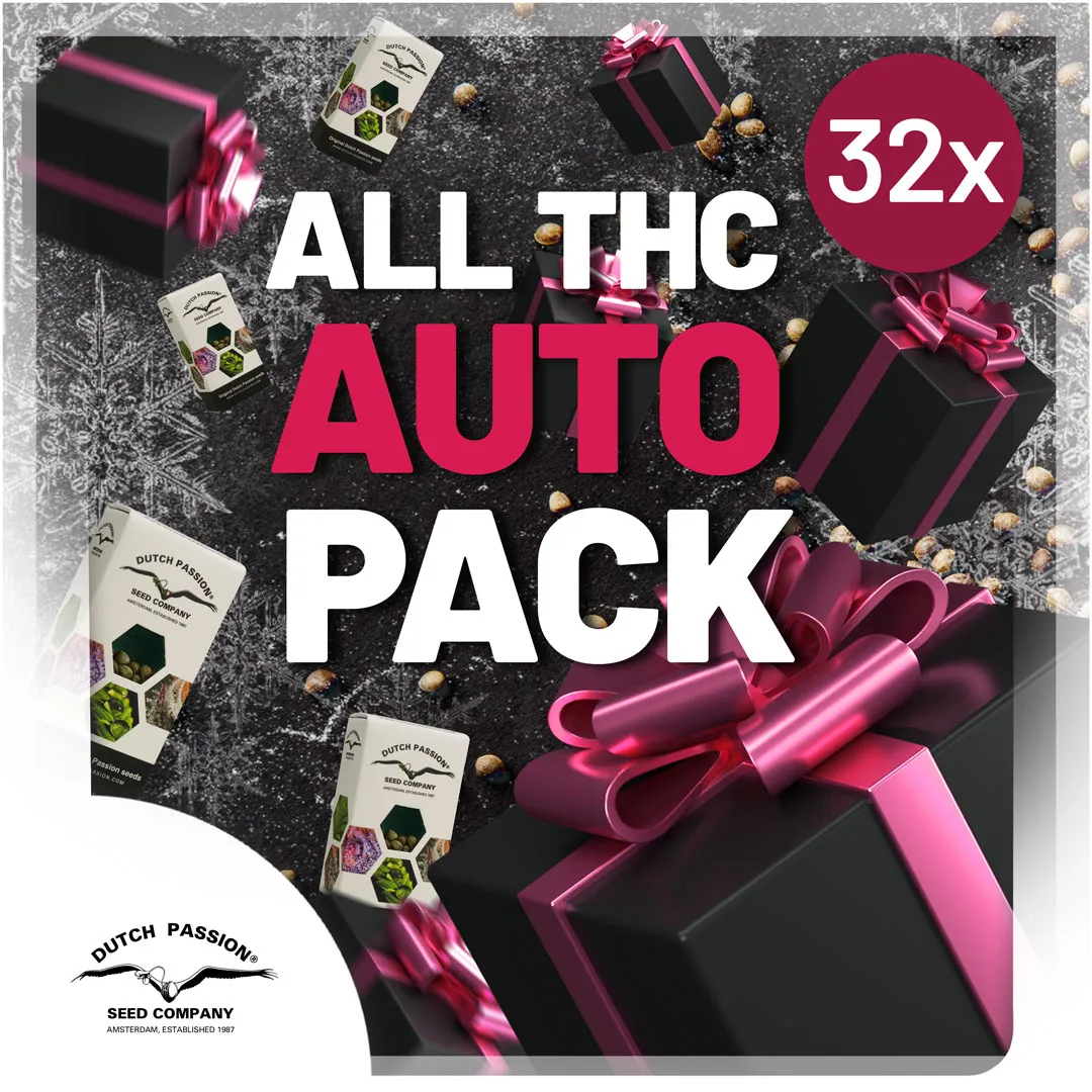all-autoflower-collection-box-discount-christmas-cannabis-seeds