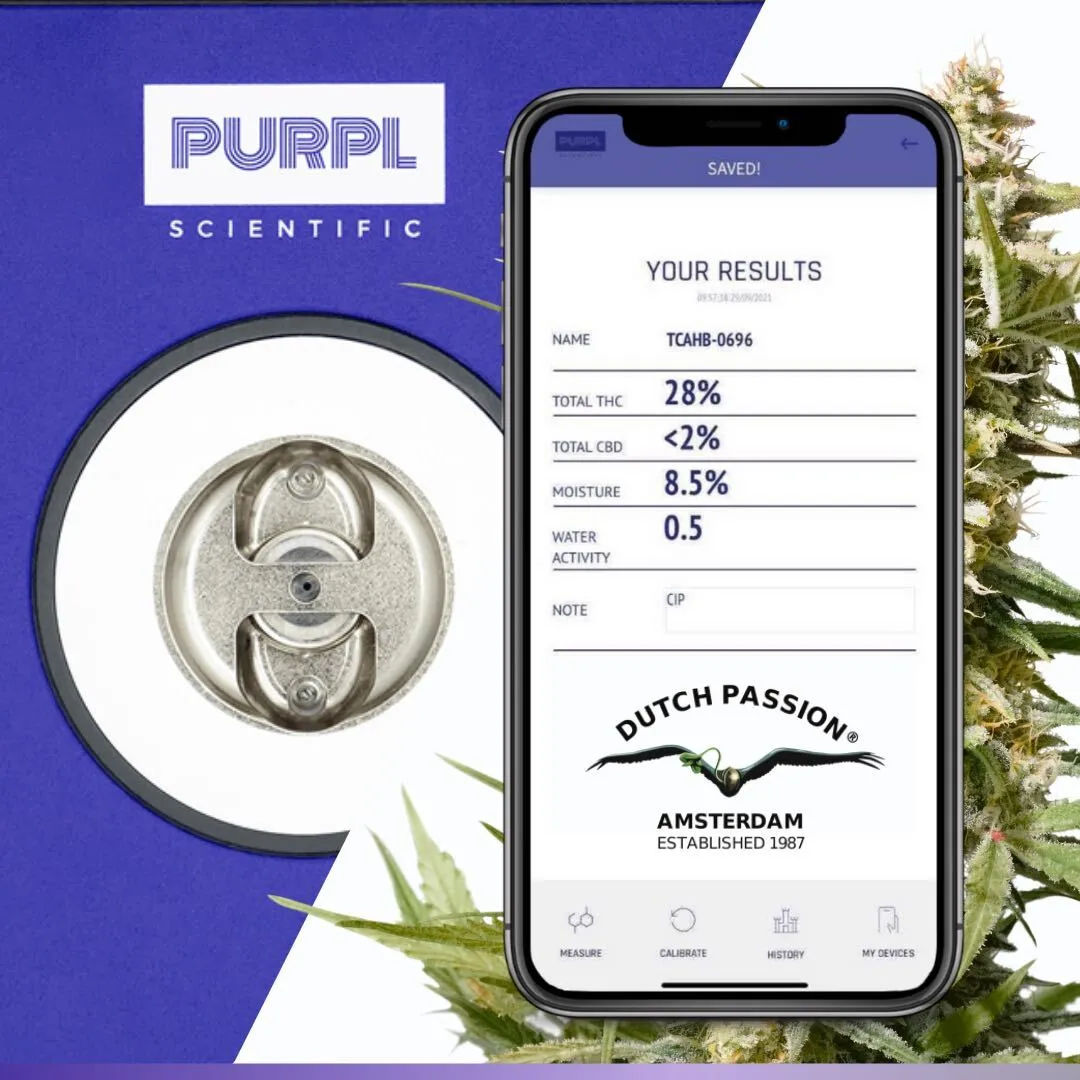 auto-cinderella-jack-purpl-pro-thc-test-results-2021.