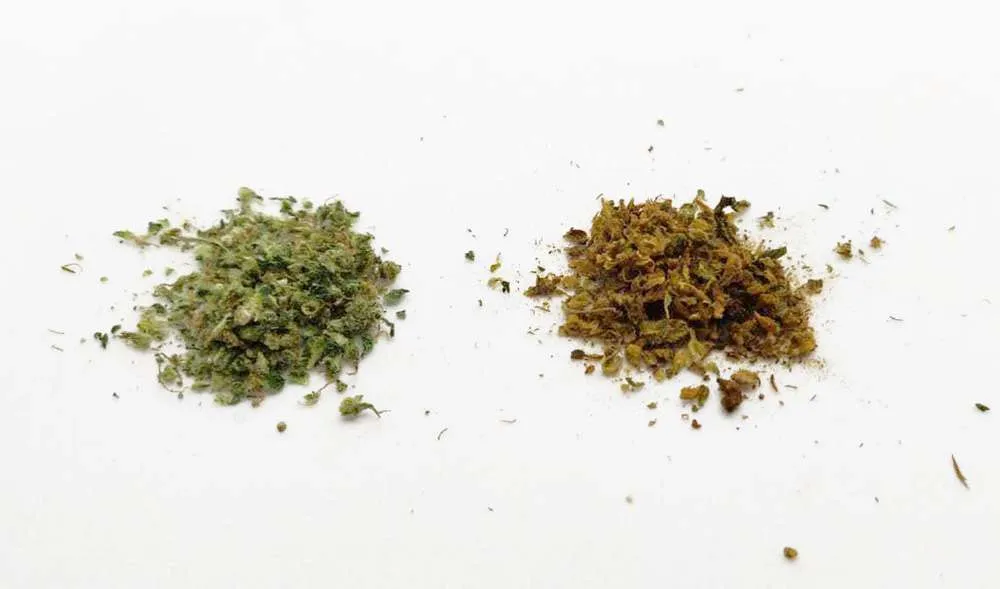 Weed vs already vaped weed