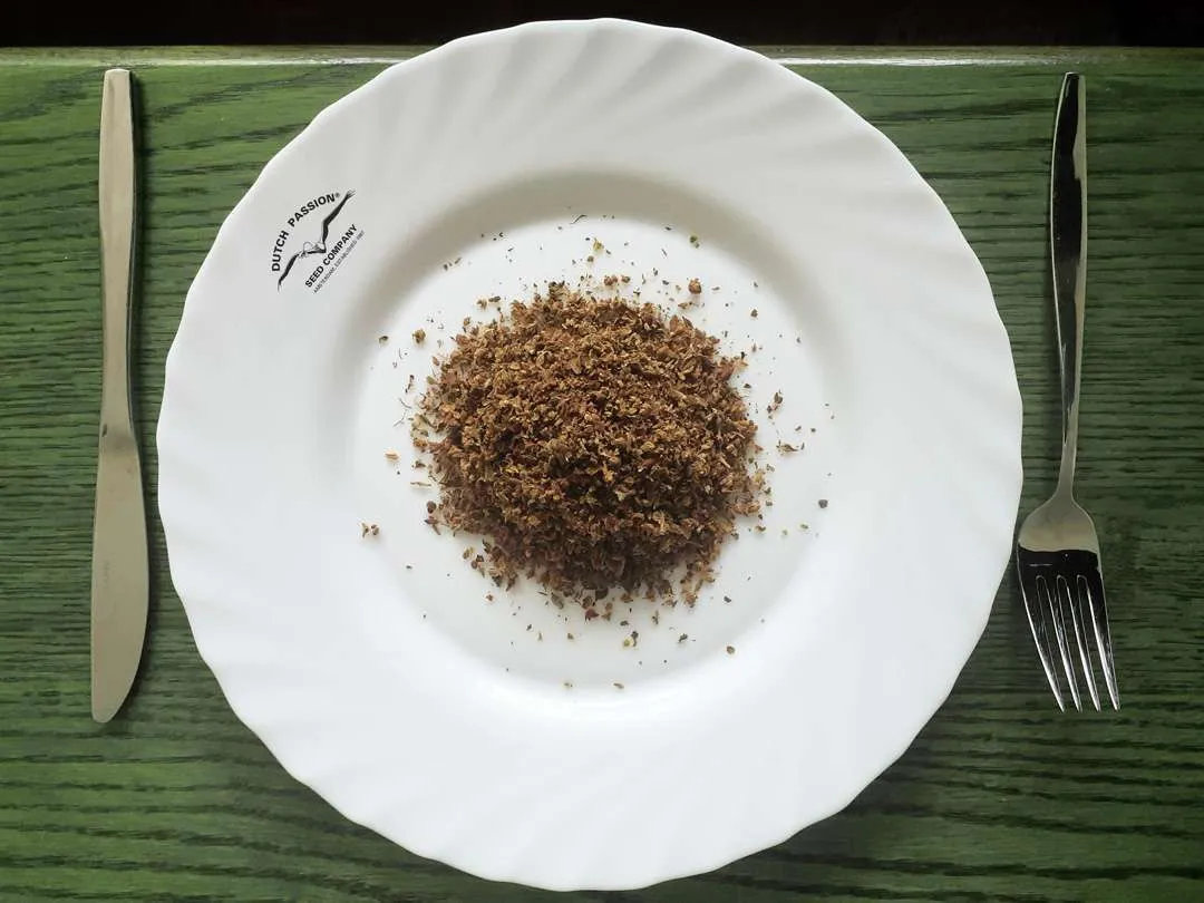 AVB soup plate 3