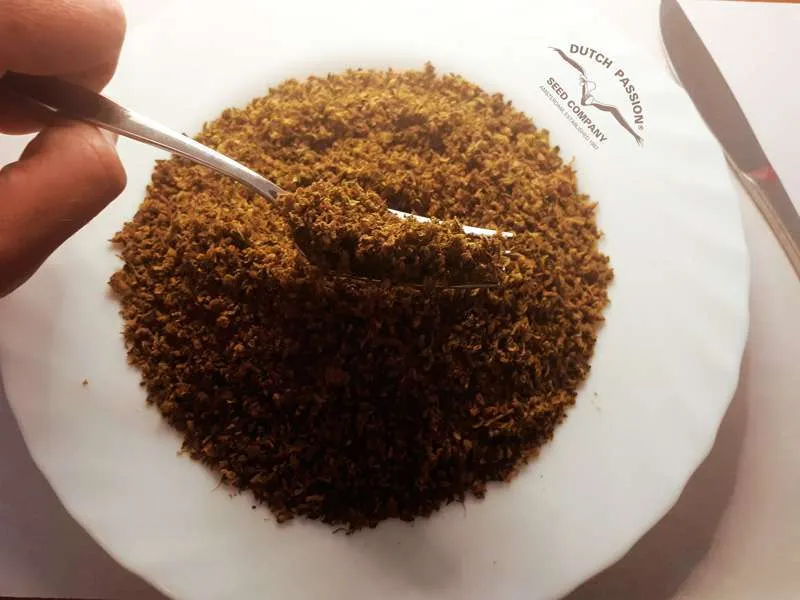 AVB soup plate 2