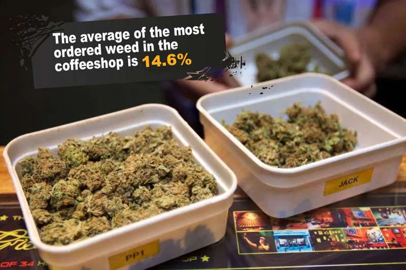 average-thc-level-in-dutch-coffeeshops-2022