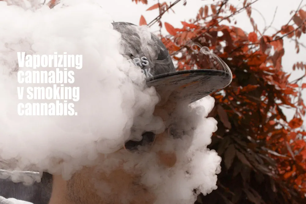Cannabis not as harmfull