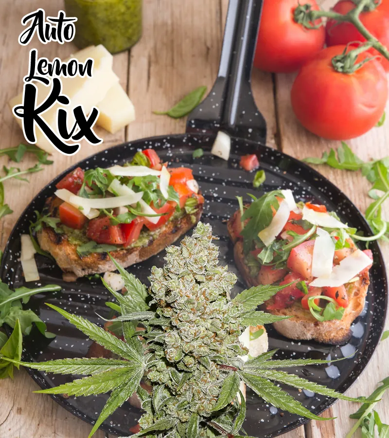 Bruschetta with pot pesto