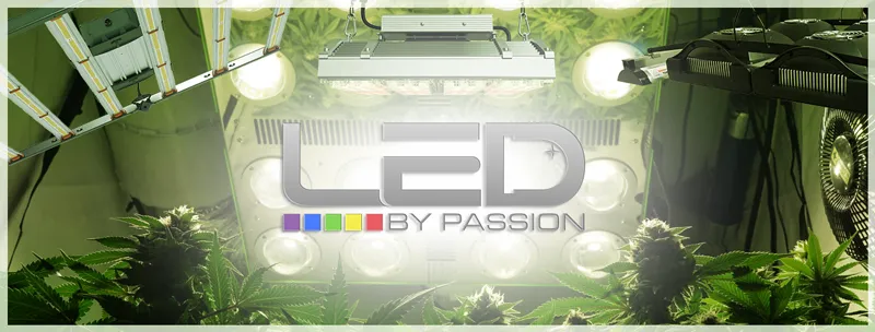 the best lights for the best quality