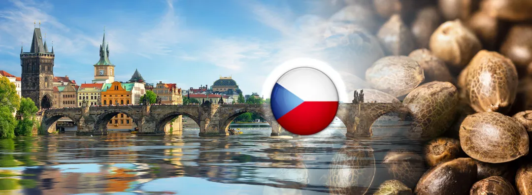 buying-cannabis-seeds-in-Czech-Republic
