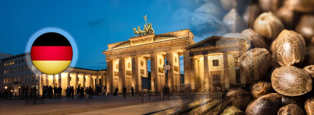 buying-cannabis-seeds-in-germany-legal