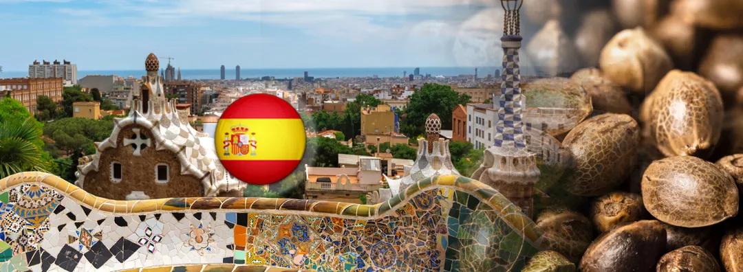 buying-cannabis-seeds-in-spain
