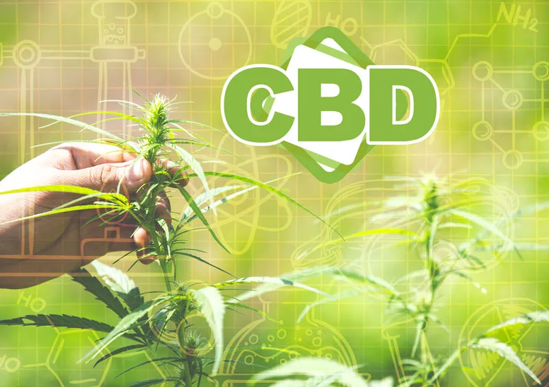What is the difference between thc, cbd and thcv?