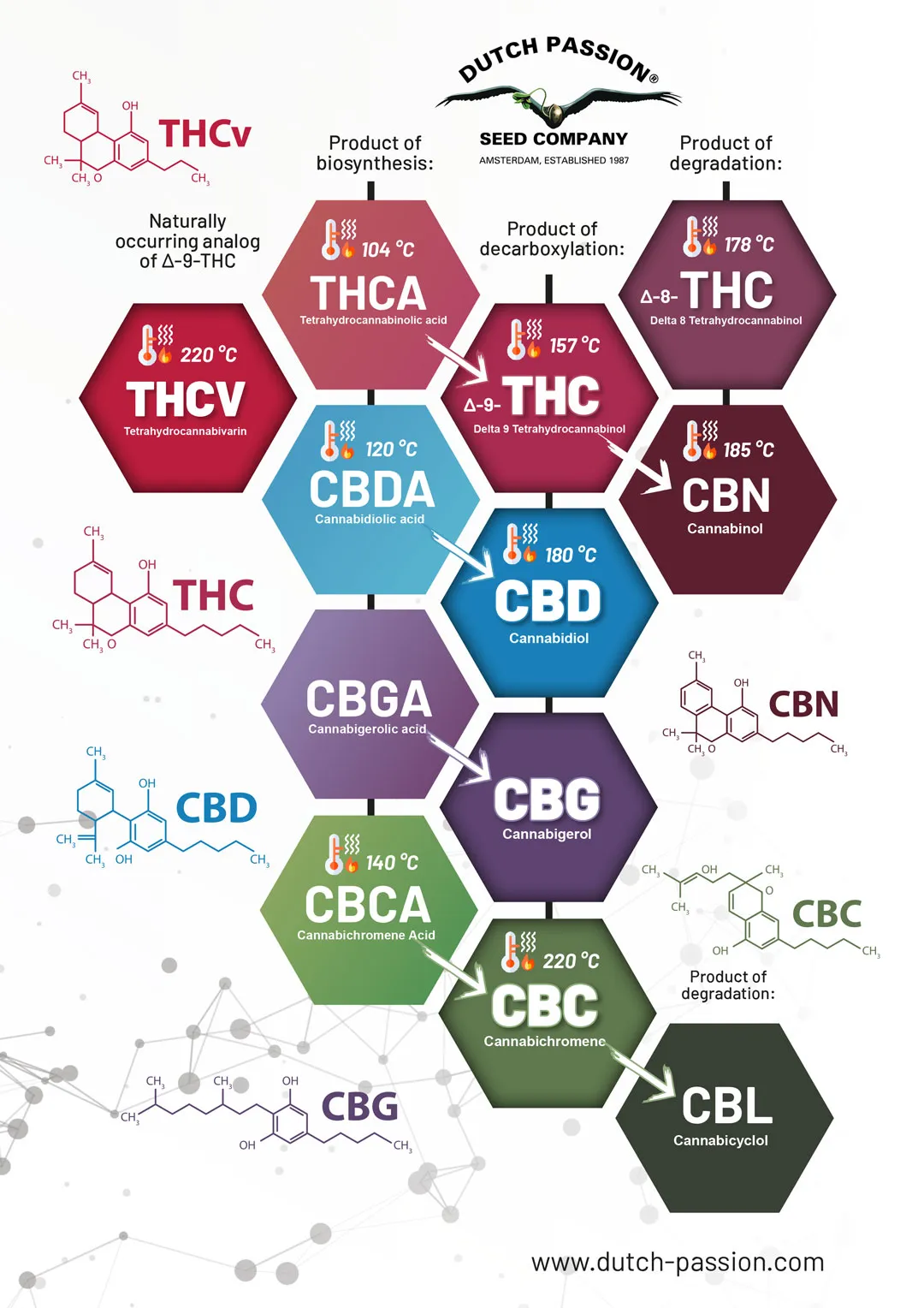 cannabinoids-overview