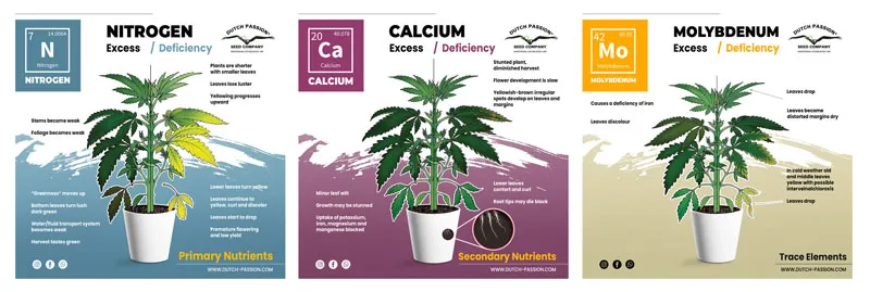Cannabis nutrient deficiencies 