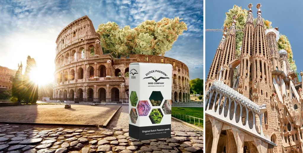 cannabis-expos-and-cannabis-laws-in-europe