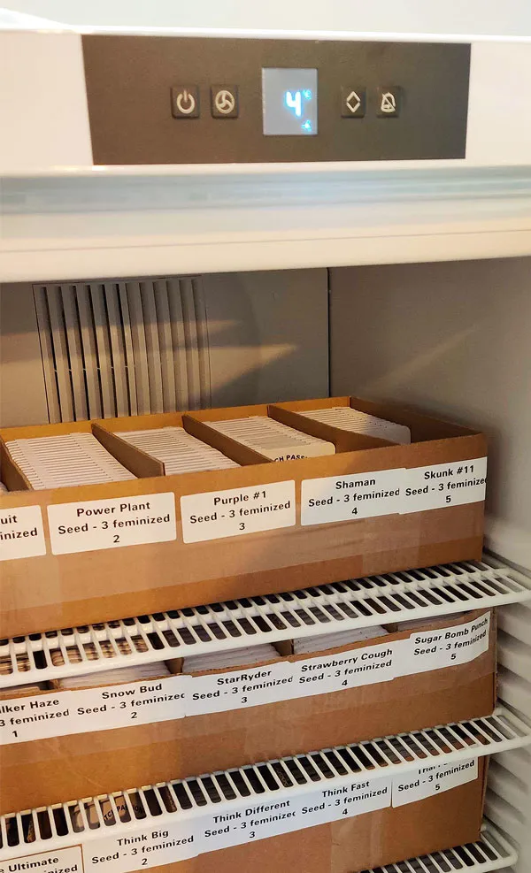 Cannabis seed storage in cooler