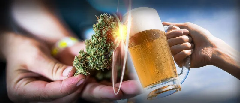 Cannabis vs alcohol