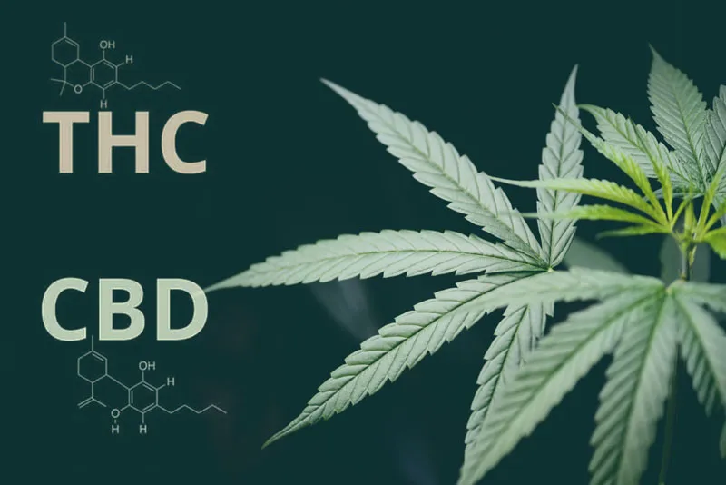 Mixing CBD and THC
