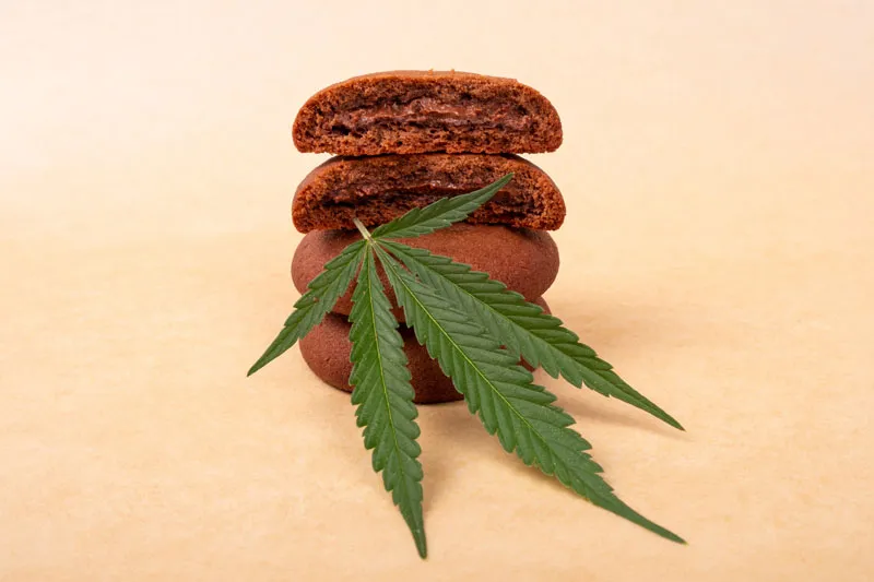Chocolate cookie edibles