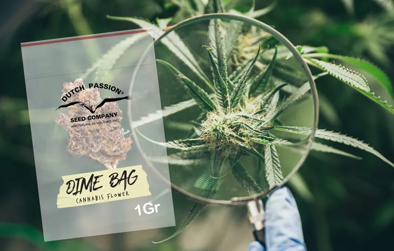 Dime bag - 1 gram of weed