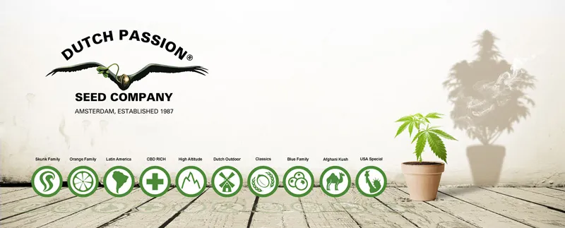 Dutch Passion banner