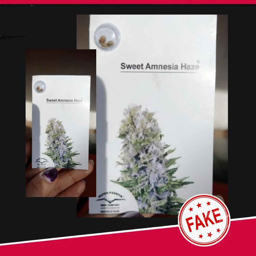 Fake Dutch Passion cannabis seeds packaging 2