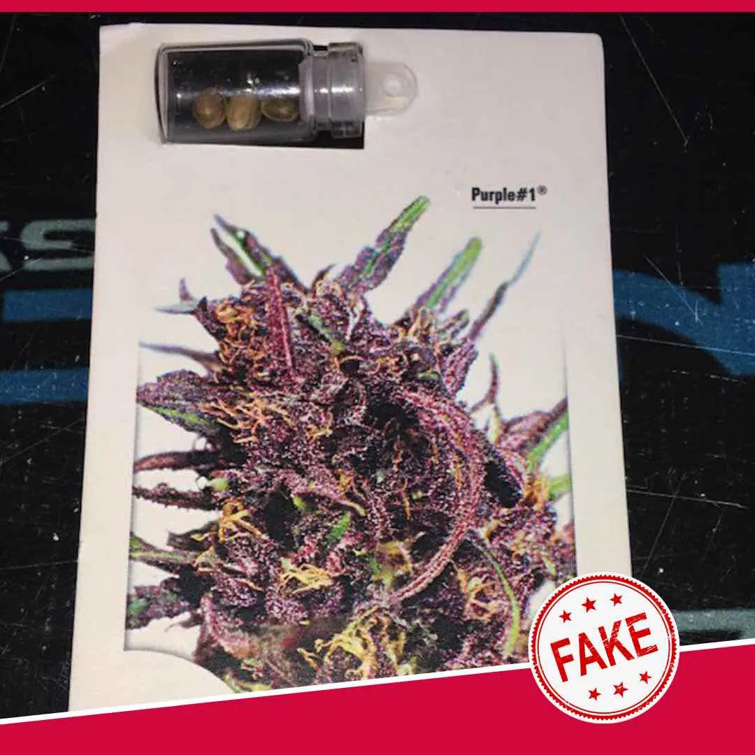 Fake Dutch Passion cannabis seeds packaging 2