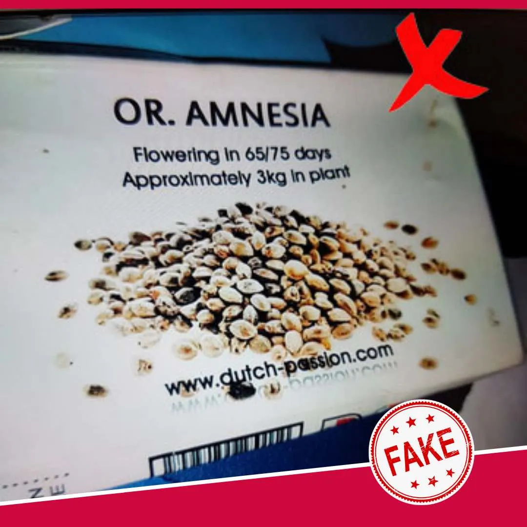 Fake Dutch Passion cannabis seeds packaging 5