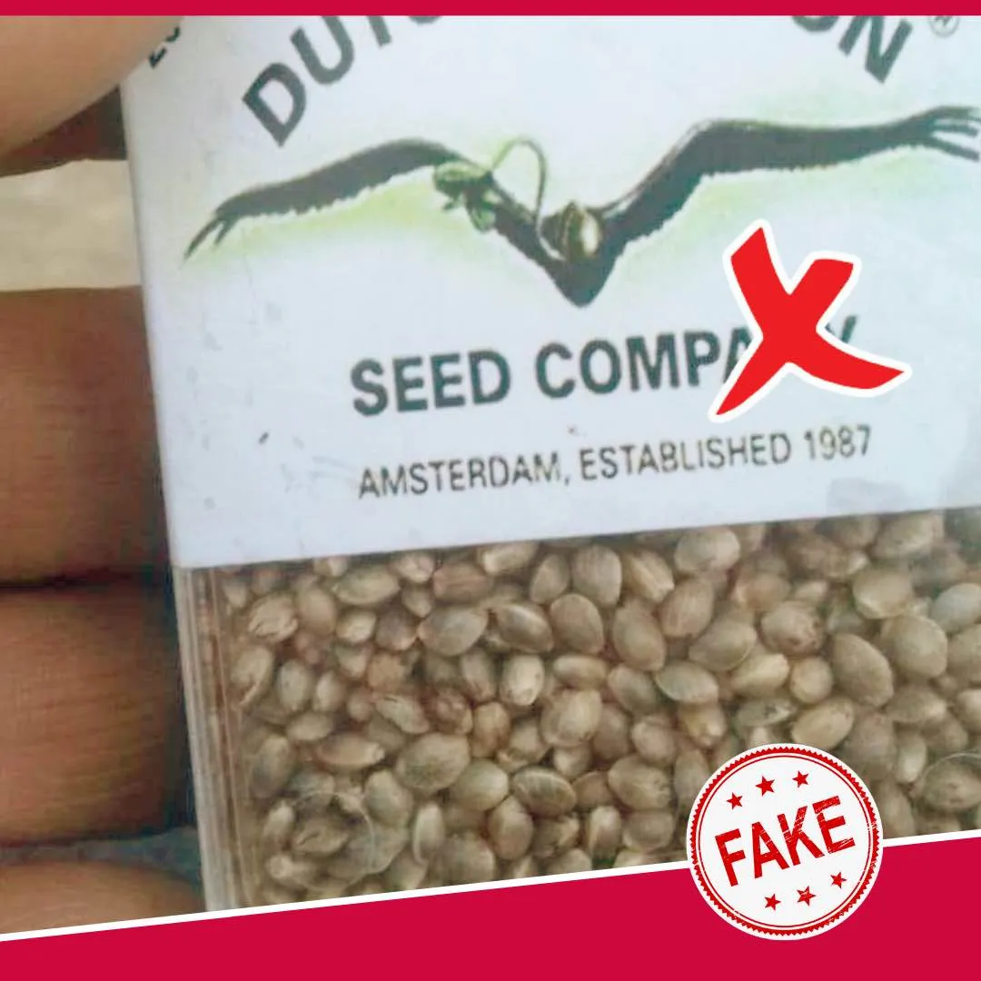 Fake Dutch Passion cannabis seeds packaging 6