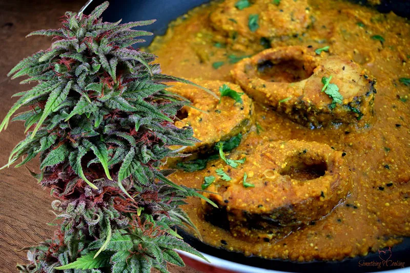 fish-curry-and-dutch-passion-Durban-Poison