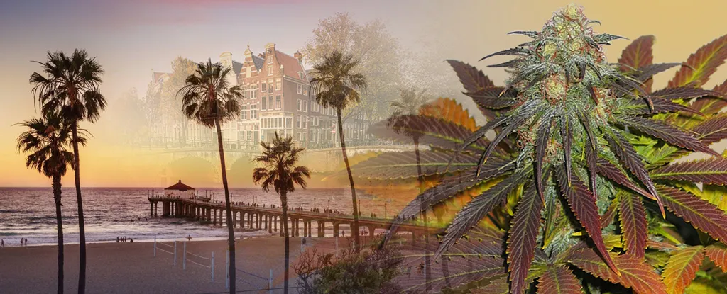 From California to Amsterdam