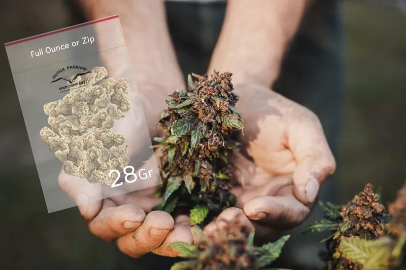 Full ounce - 28 grams of weed