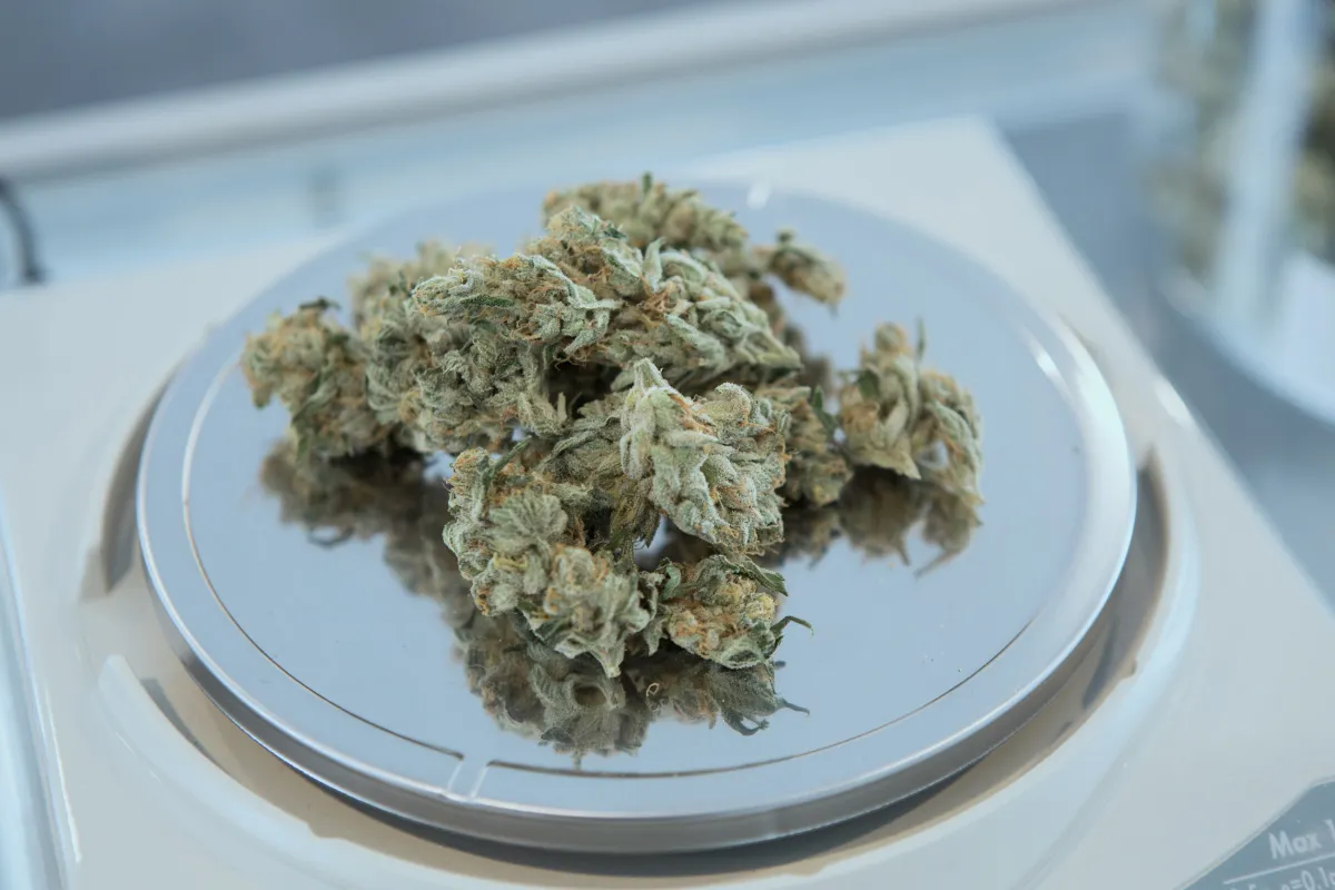 Maleza del club social de cannabis