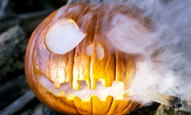halloween-and-cannabis-pumpkin-smoking-joint-dutch-passion-seed