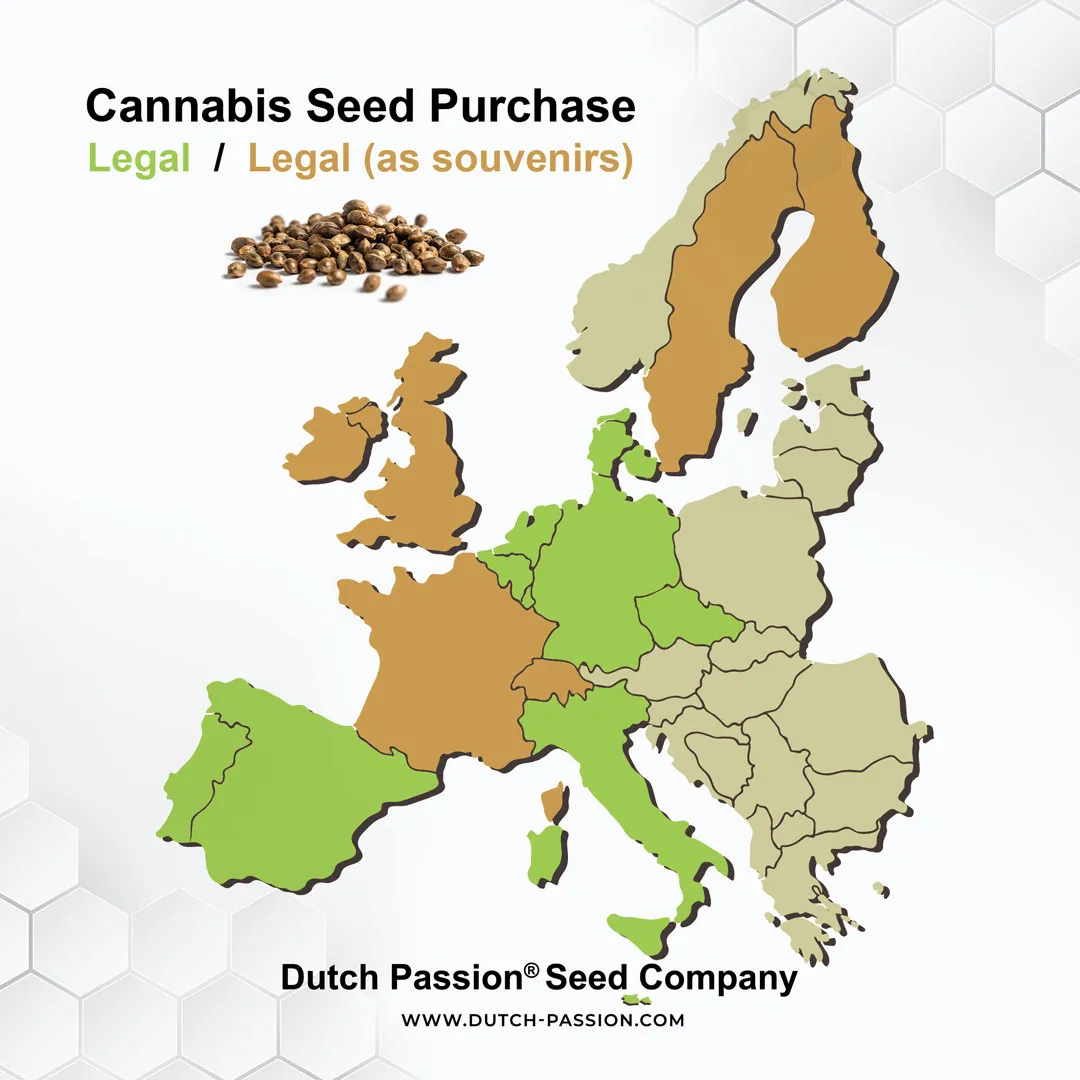 in which countries is it legal to purchase cannabis seeds