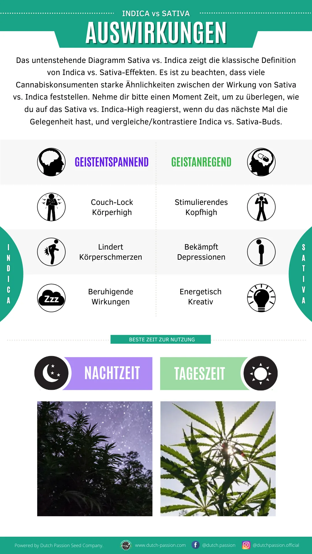 Indica vs Sativa effects