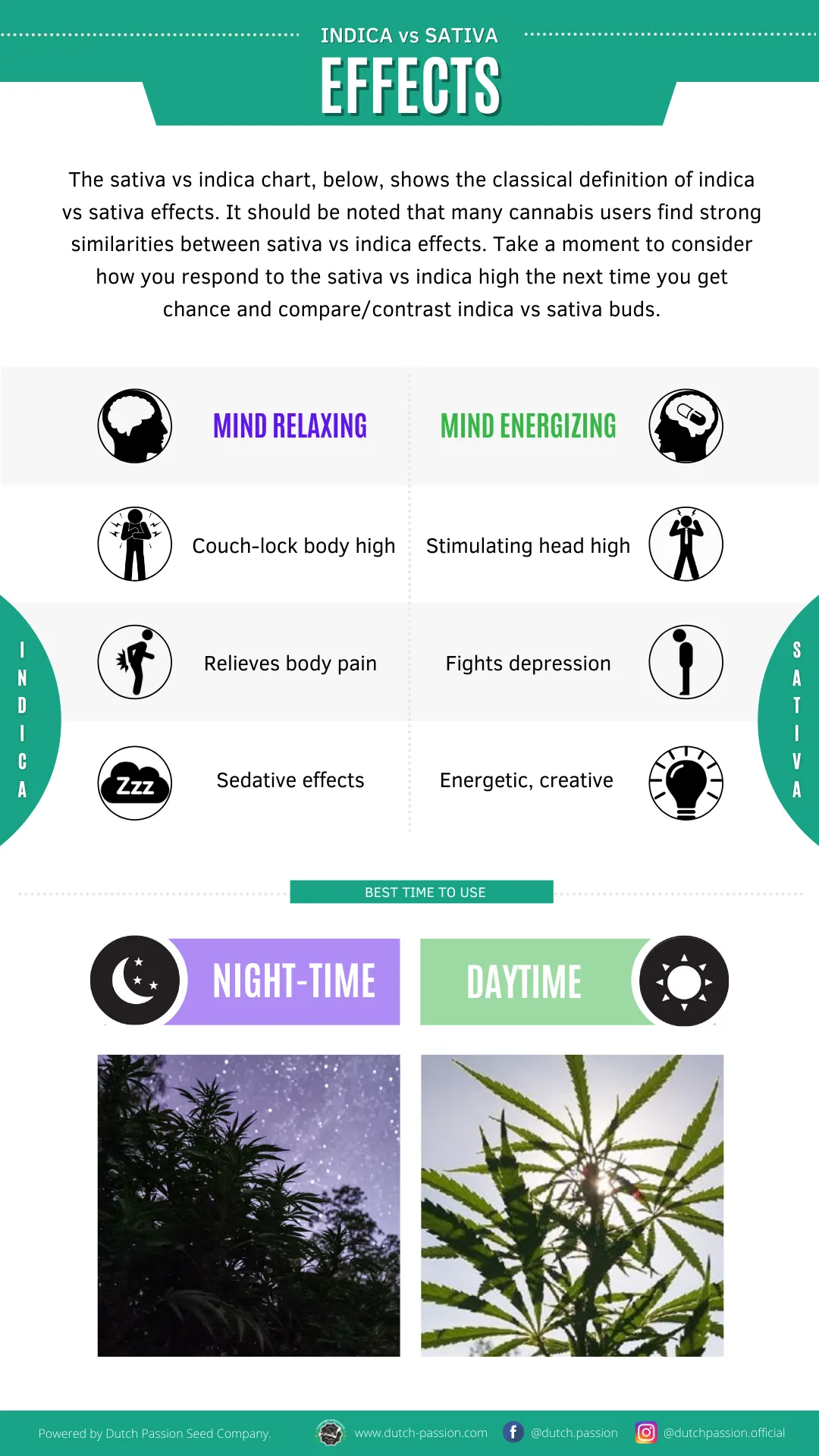 Indica vs Sativa effects