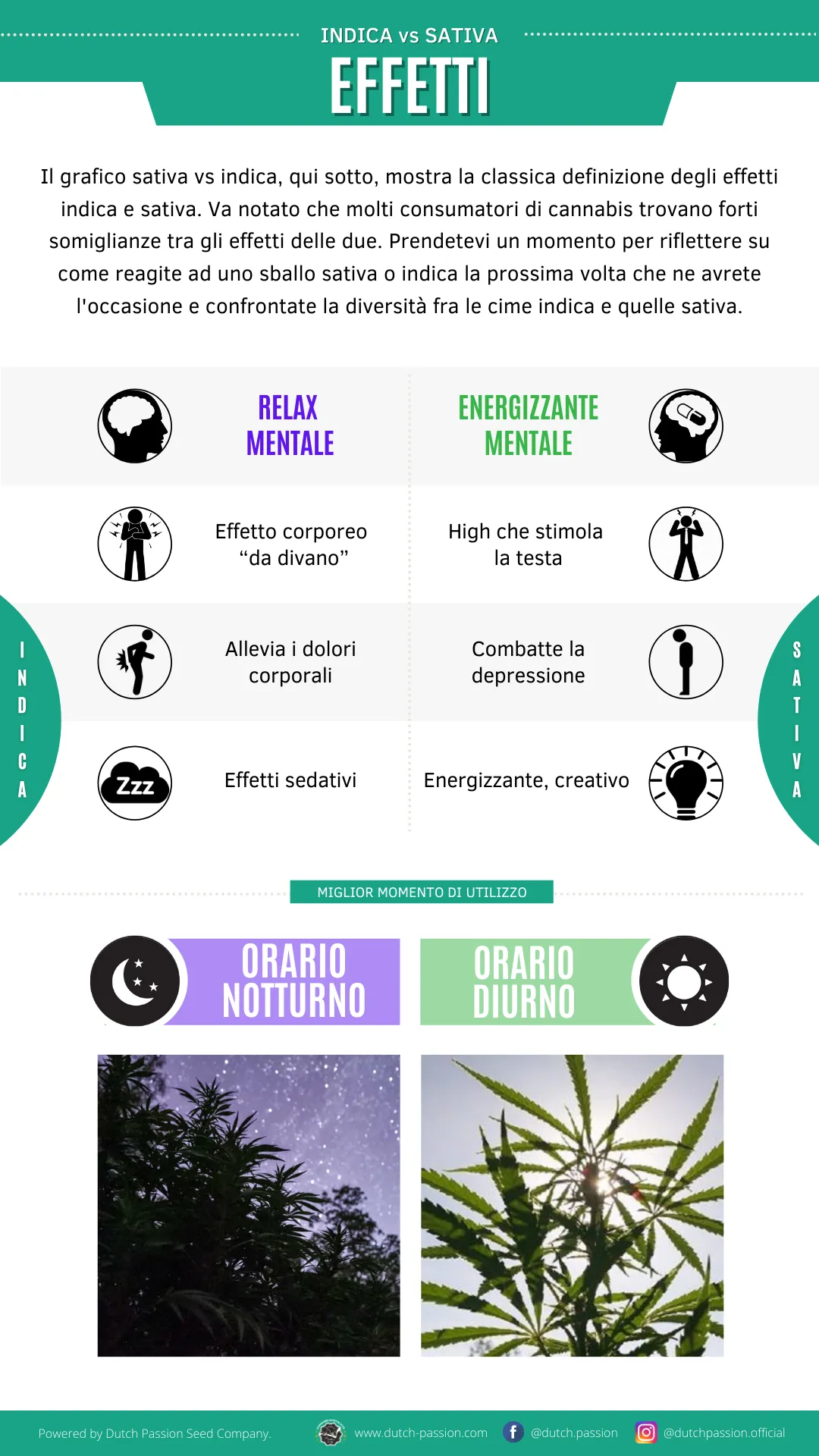 Indica vs Sativa effects