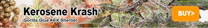 Kerosene Krash