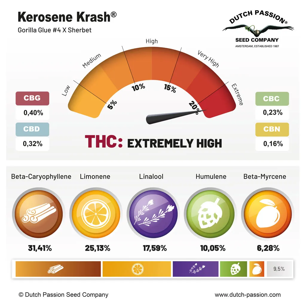 Kerosene Krash terpenes and cannabinoids
