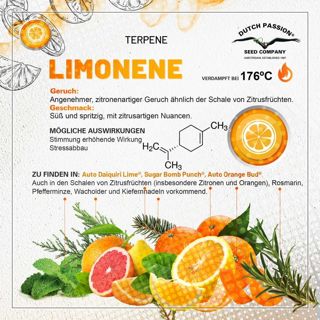 Limonene Geruch, Geschmack und Effekte