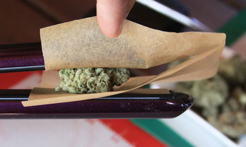 Cogollo de marihuana en papel de hornear entre unas planchas de pelo