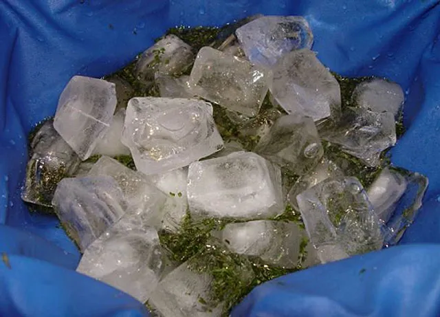Cubos de hielo con hierba dentro de un filtro de malla